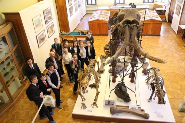 9В в геологическом музее КФУ 9В в геологическом музее КФУ