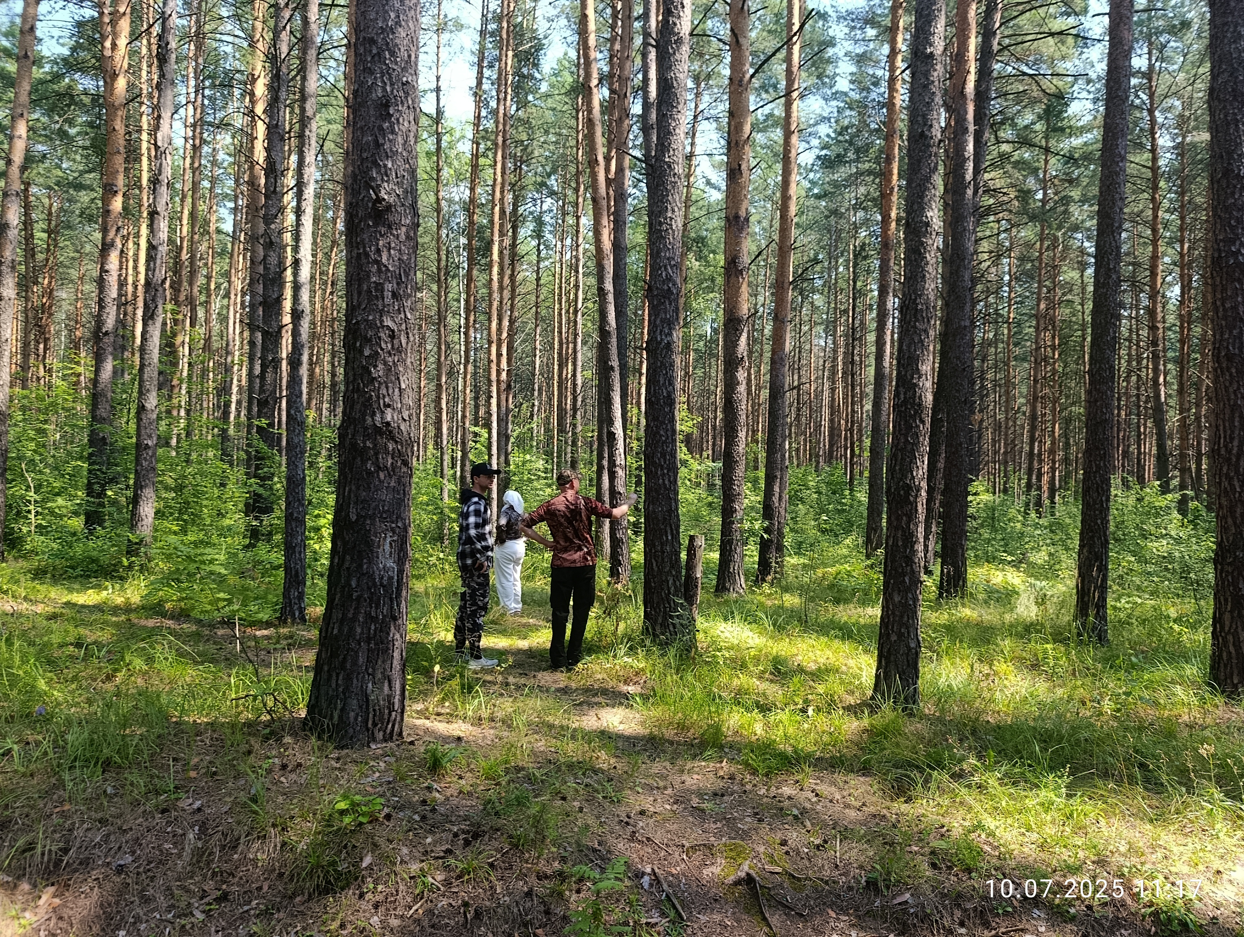 Исследования запасов углерода в сосняках Национального парка ,Карбоновый полигон, Нижняя Кама, запасы углерода Исследования запасов углерода в сосняках Национального парка ,Карбоновый полигон, Нижняя Кама, запасы углерода