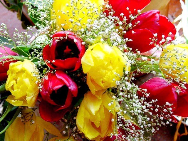 Поздравляем с 8 Марта! Поздравляем с 8 Марта!