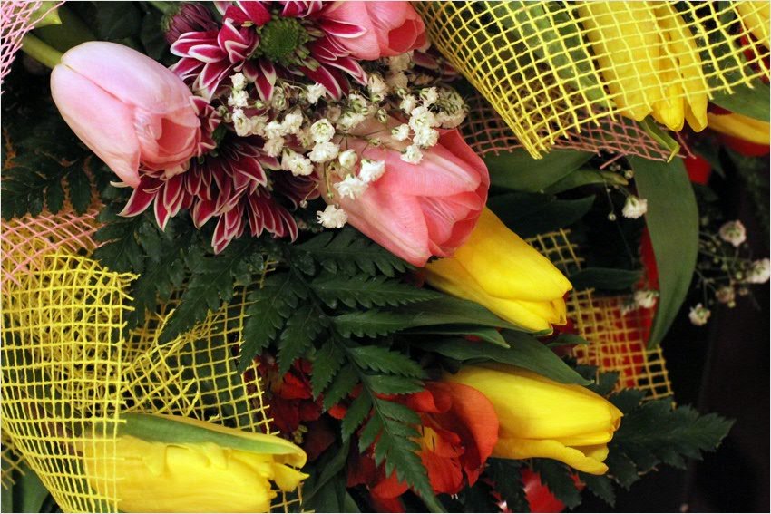 женщина года женщина года