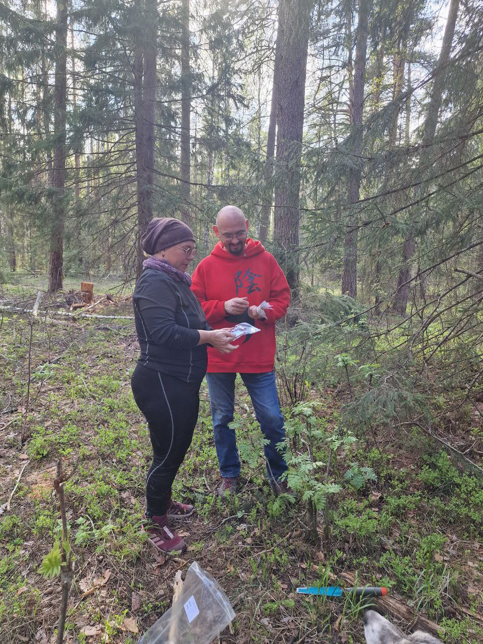 Продолжаются работы по оценке запасов углерода в сосновых лесах РТ ,Карбоновый полигон, оценка запасов углерода, сосняки Продолжаются работы по оценке запасов углерода в сосновых лесах РТ ,Карбоновый полигон, оценка запасов углерода, сосняки