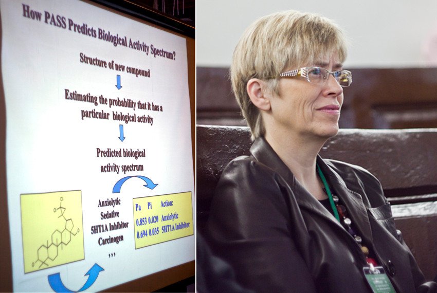 Химика Химика