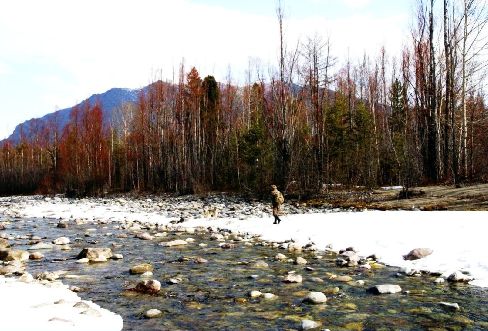 Тысяча и одна эвенкийская ночь Вероники Симоновой Тысяча и одна эвенкийская ночь Вероники Симоновой