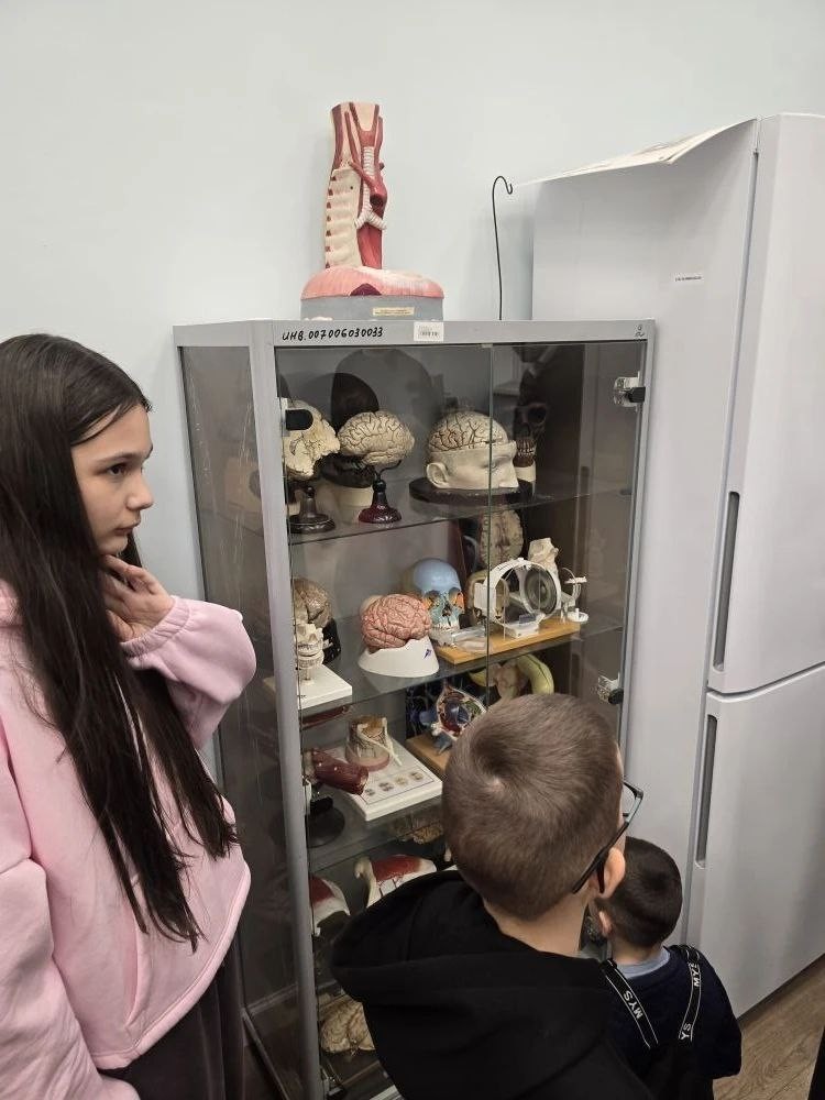 Заседание студенческого научного кружка кафедры ,студенческий научный кружок Заседание студенческого научного кружка кафедры ,студенческий научный кружок