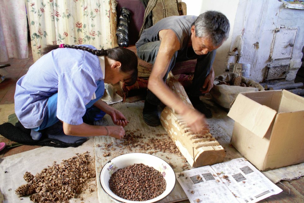 Тысяча и одна эвенкийская ночь Вероники Симоновой Тысяча и одна эвенкийская ночь Вероники Симоновой