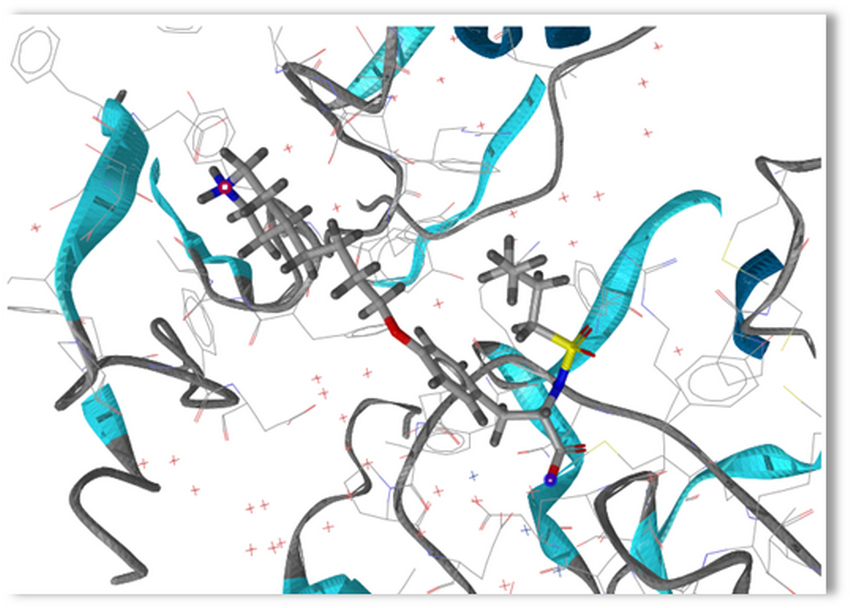 Тимур Маджидов: 'Хемоинформатика ? это прорыв в будущее' Тимур Маджидов: 'Хемоинформатика ? это прорыв в будущее'