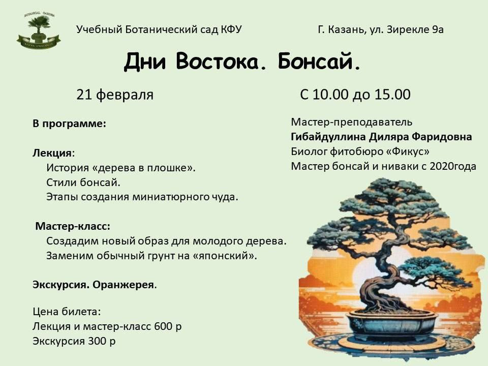ДНИ ВОСТОКА В КАЗАНСКОМ БОТАНИЧЕСКОМ САДУ ,бонсай, казанский ботанический сад ДНИ ВОСТОКА В КАЗАНСКОМ БОТАНИЧЕСКОМ САДУ ,бонсай, казанский ботанический сад
