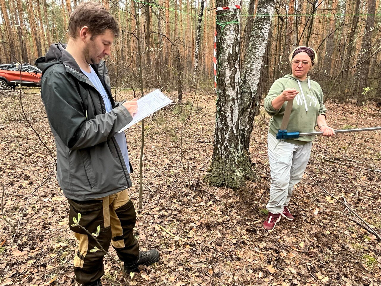 Начаты работы по определению секвестрационного потенциала хвойных лесов Республики Татарстан ,Карбоновый полигон, секвестрационный потенциал, сосняки Начаты работы по определению секвестрационного потенциала хвойных лесов Республики Татарстан ,Карбоновый полигон, секвестрационный потенциал, сосняки