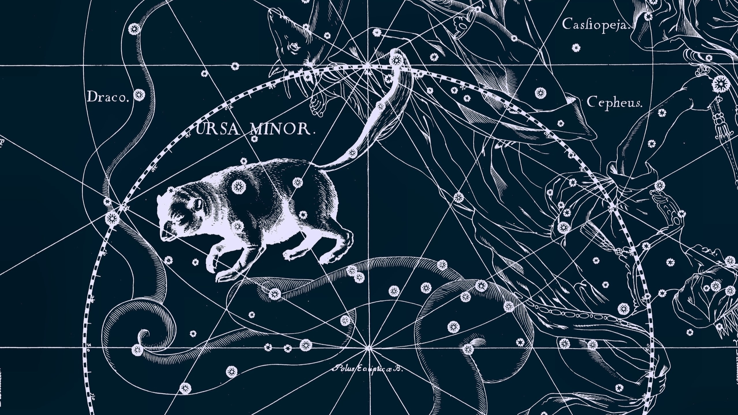 Как будет наблюдаться 'поток медвежат' в самую длинную ночь, рассказал астроном КФУ ,Институт физики, день зимнего солнцестояния, «поток медвежат» Как будет наблюдаться 'поток медвежат' в самую длинную ночь, рассказал астроном КФУ ,Институт физики, день зимнего солнцестояния, «поток медвежат»