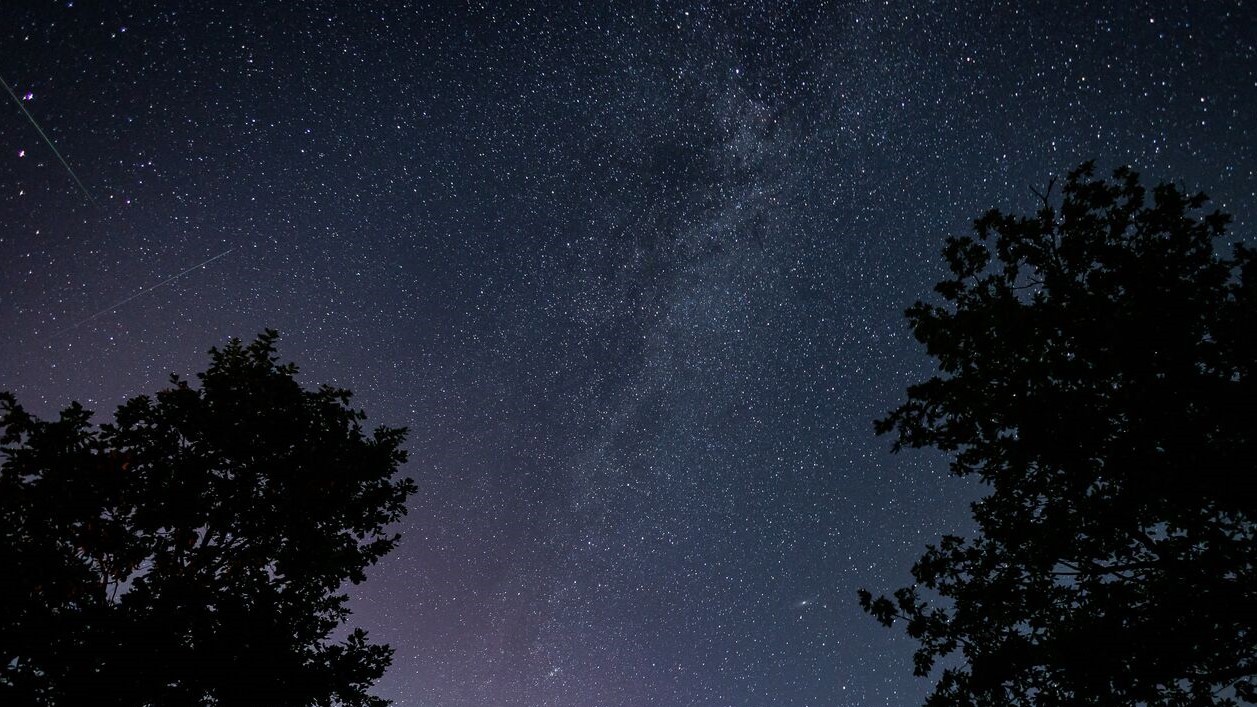 Как увидеть львиные падающие звезды, рассказали в Казанском университете ,Метеорный поток, астрономическое явление, мельчайшие частицы Как увидеть львиные падающие звезды, рассказали в Казанском университете ,Метеорный поток, астрономическое явление, мельчайшие частицы